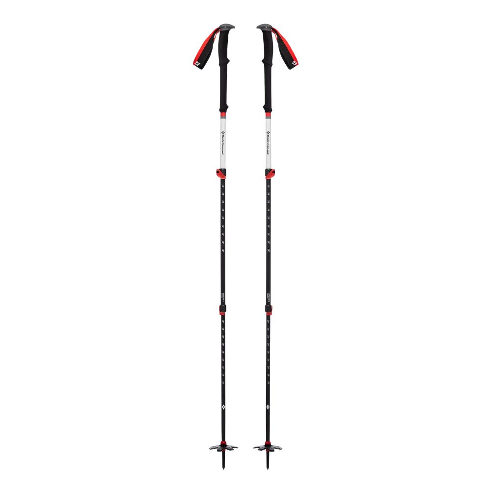 Black Diamond Expedition 3 Ski Poles