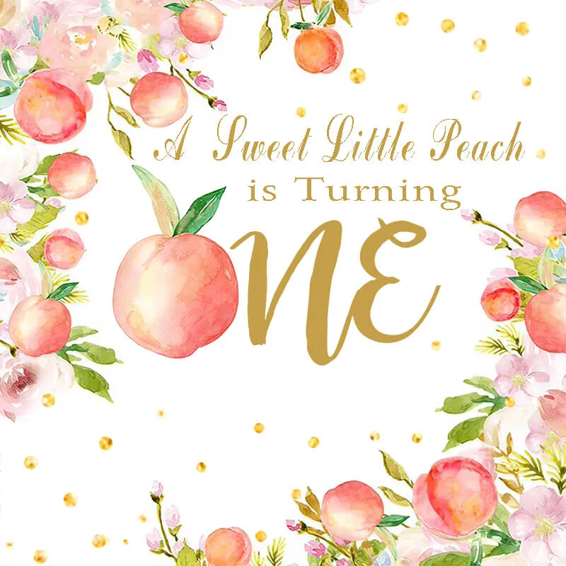 Cute Sweet One Peach Themed Birthday Party Decoration Backdrops