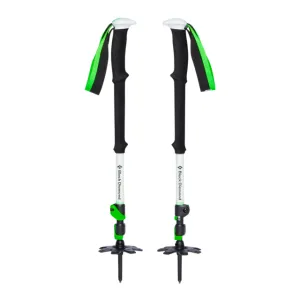 Expedition Wr 3 Ski Poles