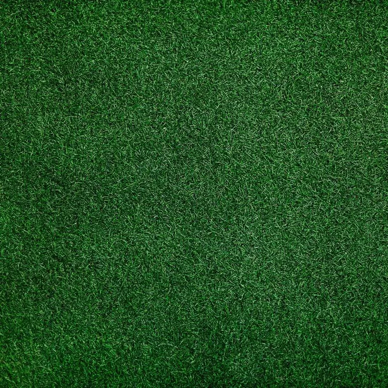 Green Grass Backdrop Fabric Backdrop for Baby Shower Wedding Party Photoshoot