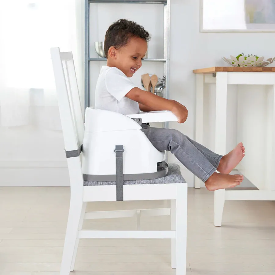 Ingenuity Baby Base 2 in1 Seat Cashmere