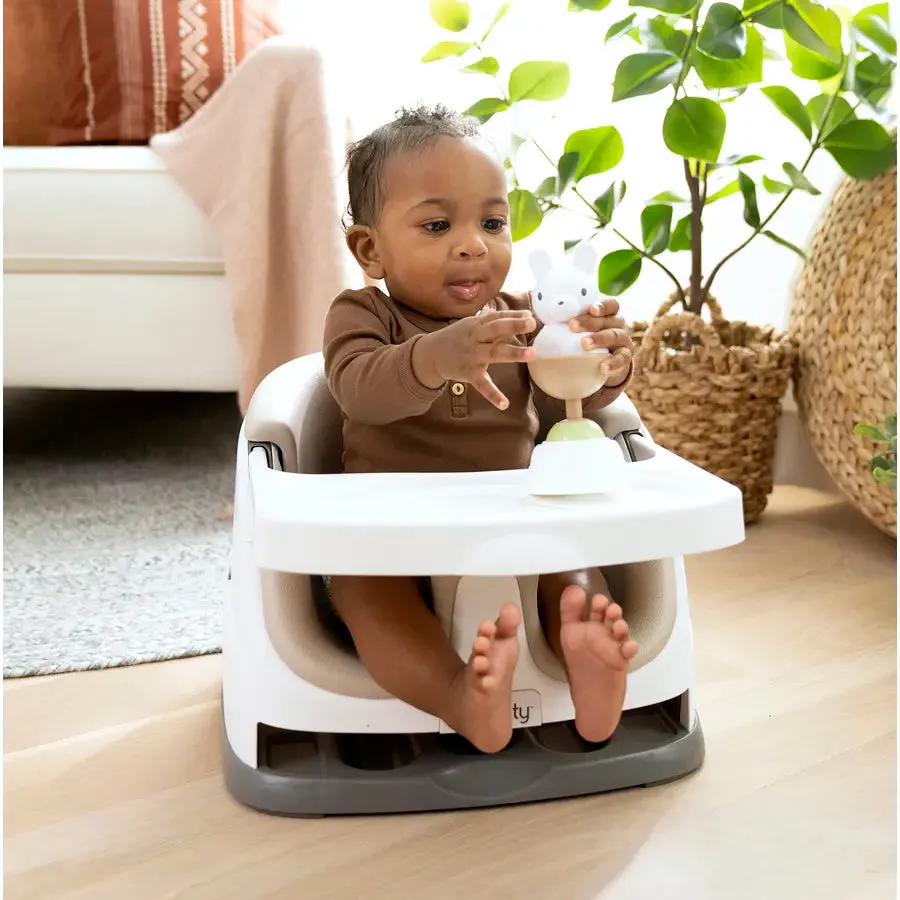 Ingenuity Baby Base 2 in1 Seat Cashmere