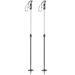 Lockjaw Aluminum Ski Poles