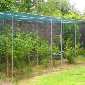 Mainframe Walk In Fruit Cage Starter Kit 6ft x 12ft