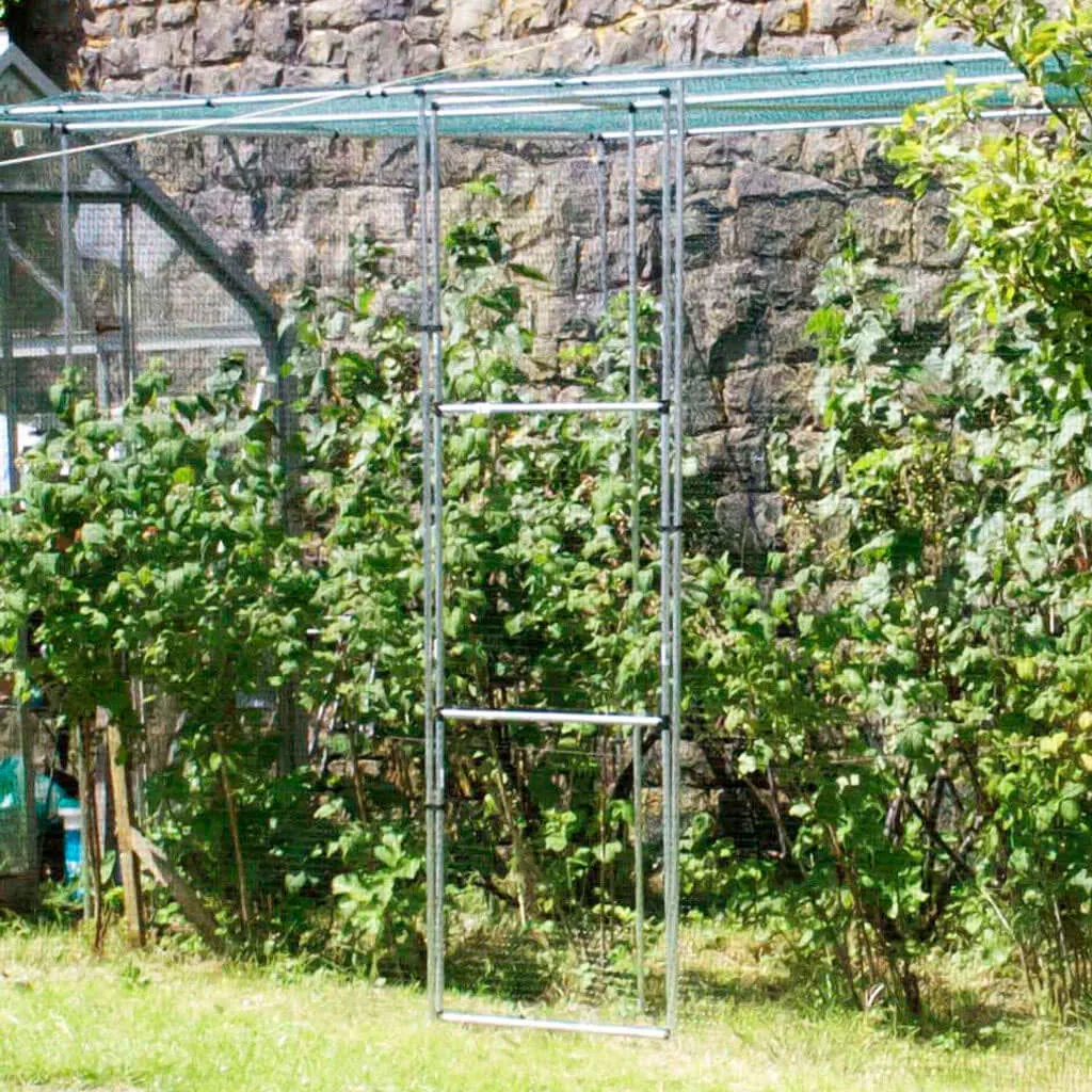 Mainframe Walk In Fruit Cage Starter Kit 6ft x 12ft