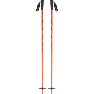 Meta Ski Poles