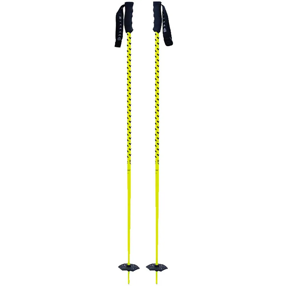 Meta Ski Poles