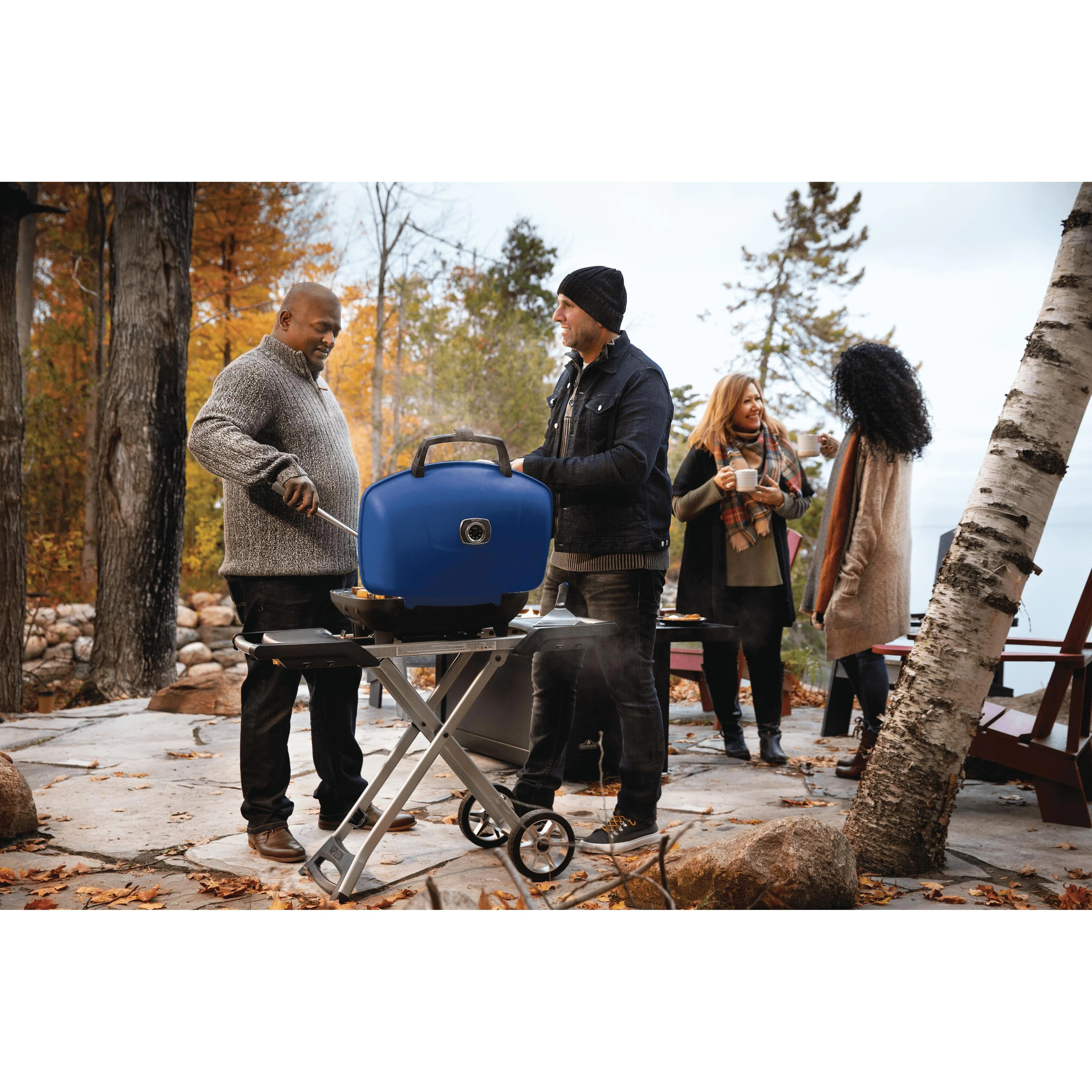 Napoleon TravelQ™ 285X Gas Grill with Cart TQ285X-BL-1