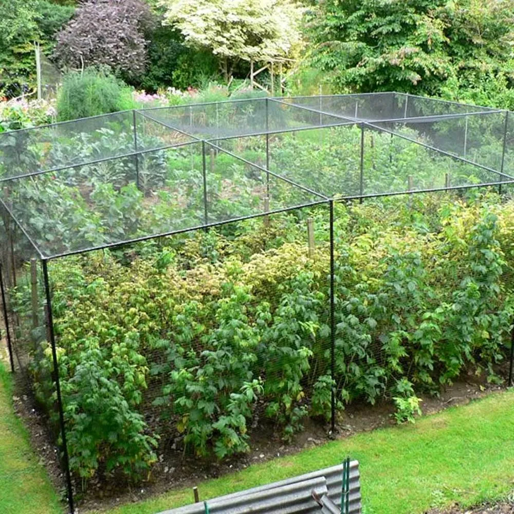 Steel Walk-in Fruit Cage