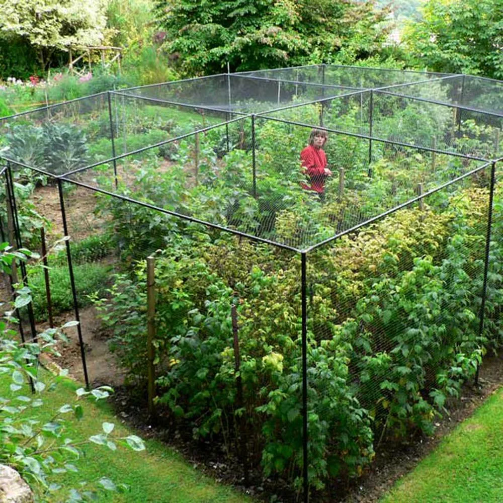 Steel Walk-in Fruit Cage