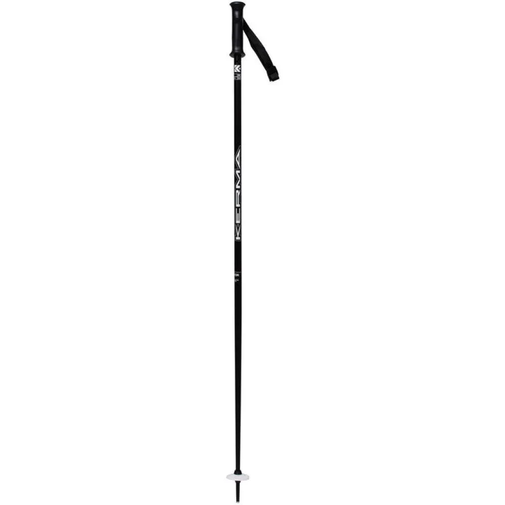 Vector Ski Poles