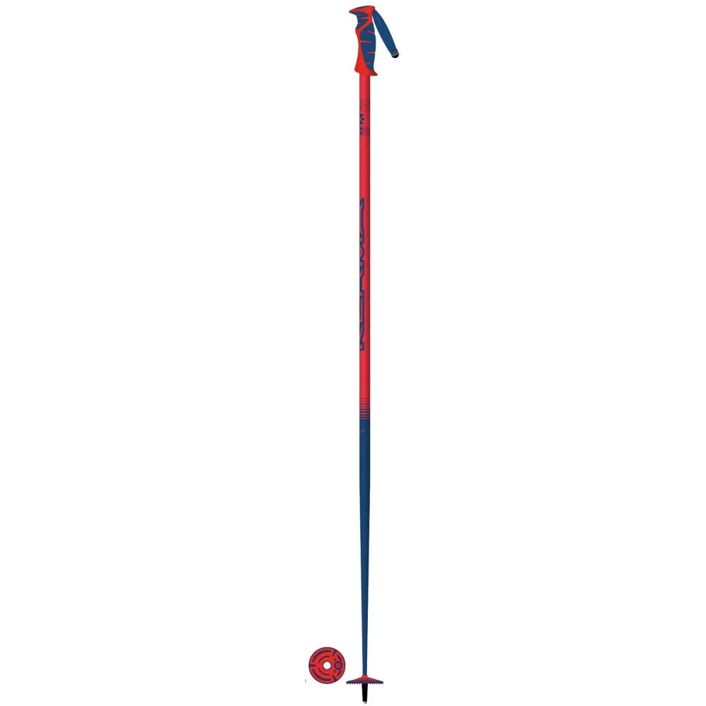 Vector Ski Poles