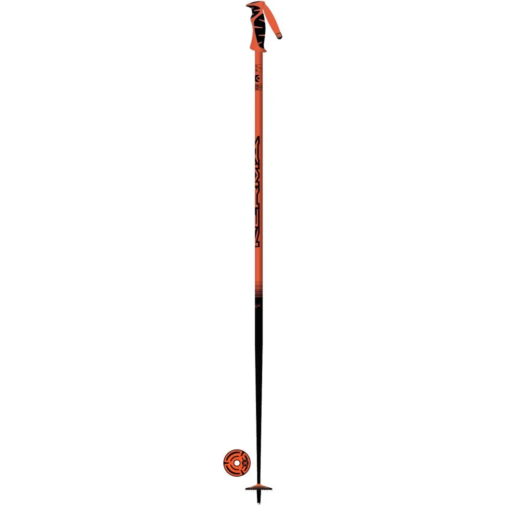 Vector Ski Poles